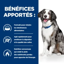 Hill's Prescription Diet I/D AB+ Sensitive Croquettes Pour Chien 11 Hill's Prescription Diet I/D AB+ Sensitive Croquettes Pour Chien -Éco Pattes 00052742040592 4 prescription diet chien i d sensitive croquettes
