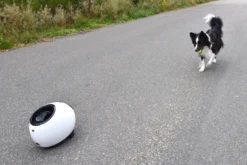 Flamingo Jouet Chien Elton Interactif Distributeur Automatique De Friandises+balles De Tennis 33x24x29cm -Éco Pattes 02aa38468598e63ce58c87dd484a5eb633240d07bb52fbc7bc270faa4d486951 scaled