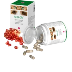 Anti-Ox 30 Gélules