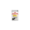 Royal Canin Dalmatien Dermacomfort Pour Chien 12 X 85g