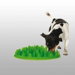 Gamelle Anti Glouton Northmate Green Karlie -Éco Pattes 0e170f08ea861902a2f0704ec052fb807ffc87d99f80b18fd669935838687c85