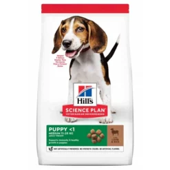 Hill's Science Plan Puppy Croquettes Pour Chiot Medium à L'agneau Et Riz -Éco Pattes 2337858cbe13e05fdb0abeb9177009c47b9b24161ea982ba49c40d8b170a0973