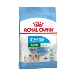 Royal Canin Mini Starter Mother & Baby Dog - 4Kg