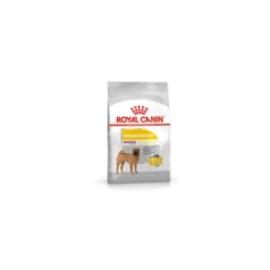Royal Canin Dermacomfort Medium Adult Pour Chien 3kg