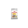 Royal Canin Dermacomfort Medium Adult Pour Chien 12kg