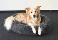 Flamingo Panier Krems Rond Gris 70cm -Éco Pattes 2b35af8c6265e8517b23a60a9a122e1b2f4b50f5a9c25a7daa9e2d5118cff5a5 scaled