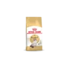 Royal Canin Ragdoll Adult Pour Chat 10kg