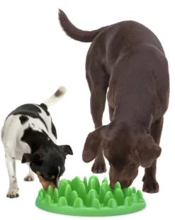 Flamingo Gamelle Anti-glouton Northmate Green Vert 40x30x10cm -Éco Pattes 3bd69df38c899d0127b8891c10859befa4b75c6b60e1a92b37e8a12483df8c13 scaled