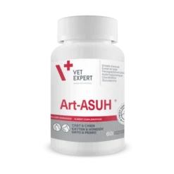 Art-ASUH S - 60 Capsules