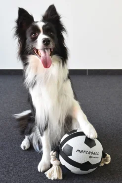 Flamingo Jouet Chien Matchball Balle De Foot 12,5cm -Éco Pattes 40ceb270f0ae1d84ac34a9c72537280e20e86552eaf2ba2e45995c5537755e53 scaled