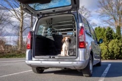 Trixie Protection Chien Pour Voiture Avec Fixations Aux Appuies-tête 105-172 Cm -Éco Pattes 43b9171670aa632db8d0b50216bda1040921a87f11069c8ac80902918560e8aa