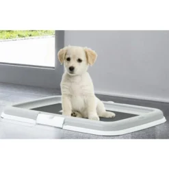 Set D'éducation Pour Chiot