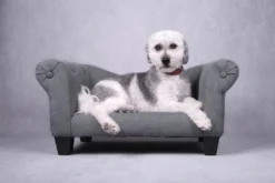 Flamingo Sofa Maximilien Gris 71x45x34cm -Éco Pattes 520605 S 01