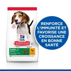 Hill's Science Plan Puppy Croquettes Et Boîtes Pour Chiot Medium Au Poulet -Éco Pattes 52742025728 2 science plan chiot medium croquettes poulet.jpg