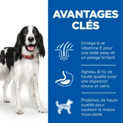Hill's Science Plan Adult Croquettes Pour Chien Medium -Éco Pattes 52742025865 3 science plan chien adulte medium croquettes agneau