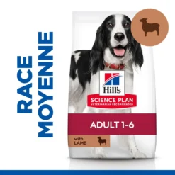 Hill's Science Plan Adult Croquettes Pour Chien Medium -Éco Pattes 52742025865 4 science plan chien adulte medium croquettes agneau