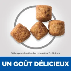 Hill's Science Plan Senior Vitality Croquettes Pour Grand Chien Mature Au Poulet Et Au Riz 14Kg -Éco Pattes 52742025964 4 science plan senior vitaity chien large croquettes poulet