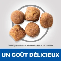 Hill's Science Plan Adult Healthy Mobility Croquettes Pour Grand Chien Au Poulet - 14Kg -Éco Pattes 52742026015 4 science plan healthy mobility chien adulte large croquettes poulet