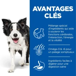 Hill's Science Plan Senior Vitality Croquettes Pour Chien âgé Au Poulet 14Kg -Éco Pattes 52742026107 3 science plan senior vitality chien medium croquettes poulet