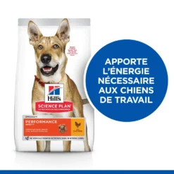 Hill's Science Plan Adult Performance Croquettes Pour Chien Au Poulet 14Kg -Éco Pattes 52742026114 2 science plan performance chien adulte croquettes poulet