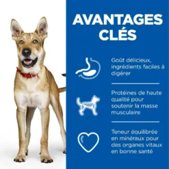 Hill's Science Plan Adult Performance Croquettes Pour Chien Au Poulet 14Kg -Éco Pattes 52742026114 3 science plan performance chien adulte croquettes poulet.jpg