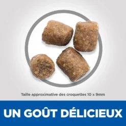Hill's Science Plan Adult Performance Croquettes Pour Chien Au Poulet 14Kg -Éco Pattes 52742026114 4 science plan performance chien adulte croquettes poulet