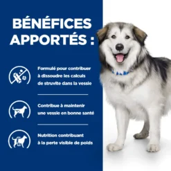 Hill's Prescription Diet C/d Multicare + Metabolic Croquettes Pour Chien 13 Hill's Prescription Diet C/d Multicare + Metabolic Croquettes Pour Chien -Éco Pattes 52742037394 4 prescription diet chien c d multicare metabolic croquettes