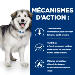 Hill's Prescription Diet C/d Multicare + Metabolic Croquettes Pour Chien 14 Hill's Prescription Diet C/d Multicare + Metabolic Croquettes Pour Chien -Éco Pattes 52742037394 5 prescription diet chien c d multicare metabolic croquettes