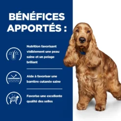 Hill's Prescription Diet Z/D AB+ Pour Chien Au Poulet -Éco Pattes 52742040455 4 prescription diet chien z d croquettes