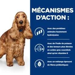 Hill's Prescription Diet Z/D AB+ Pour Chien Au Poulet -Éco Pattes 52742040455 5 prescription diet chien z d croquettes