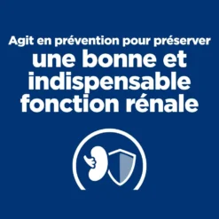 Hill's Prescription Diet K/D Early Stage Croquettes Pour Chien Au Poulet 10 Hill's Prescription Diet K/D Early Stage Croquettes Pour Chien Au Poulet -Éco Pattes 52742042374 2 prescription diet chien k d early stage croquettes poulet