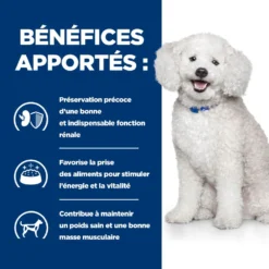 Hill's Prescription Diet K/D Early Stage Croquettes Pour Chien Au Poulet 11 Hill's Prescription Diet K/D Early Stage Croquettes Pour Chien Au Poulet -Éco Pattes 52742042374 4 prescription diet chien k d early stage croquettes poulet