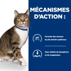 Hill's Prescription Diet S/D Urinary Croquettes Pour Chat Au Poulet -Éco Pattes 52742042473 4 prescription diet chat s d croquettes poulet