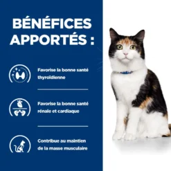 Hill's Prescription Diet Y/D Thyroïd Pour Chat -Éco Pattes 52742042503 4 prescription diet chat y d croquettes poulet