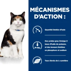 Hill's Prescription Diet Y/D Thyroïd Pour Chat -Éco Pattes 52742042503 5 prescription diet chat y d croquettes poulet