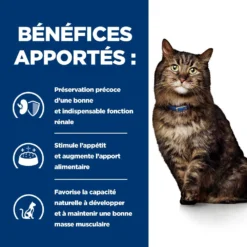 Hill's Prescription Diet K/D Early Stage Croquettes Pour Chat Au Poulet -Éco Pattes 52742043630 4 prescription diet chat k d early stage croquettes poulet