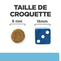 Hill's Prescription Diet K/D Early Stage Croquettes Pour Chat Au Poulet -Éco Pattes 52742043630 6 prescription diet chat k d early stage croquettes poulet