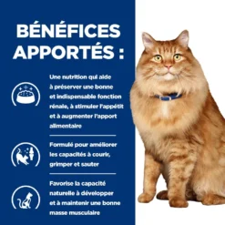 Hill's Prescription Diet K/D + Mobility Croquettes Pour Chat Au Poulet -Éco Pattes 52742044767 4 prescription diet chat k d mobility croquettes poulet