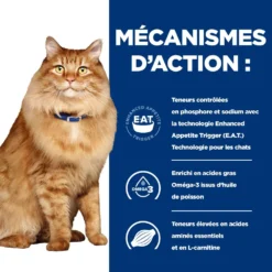 Hill's Prescription Diet K/D + Mobility Croquettes Pour Chat Au Poulet -Éco Pattes 52742044767 5 prescription diet chat k d mobility croquettes poulet