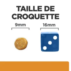 Hill's Prescription Diet K/D + Mobility Croquettes Pour Chat Au Poulet -Éco Pattes 52742044767 6 prescription diet chat k d mobility croquettes poulet