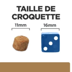 Hill's Prescription Diet J/D Mobility Croquettes Pour Chien Au Poulet -Éco Pattes 52742045740 6 prescription diet chien j d croquettes poulet