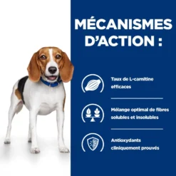 Hill's Prescription Diet R/D Croquettes Pour Chien Au Poulet 12 Hill's Prescription Diet R/D Croquettes Pour Chien Au Poulet -Éco Pattes 52742047256 4 prescription diet chien r d croquettes poulet