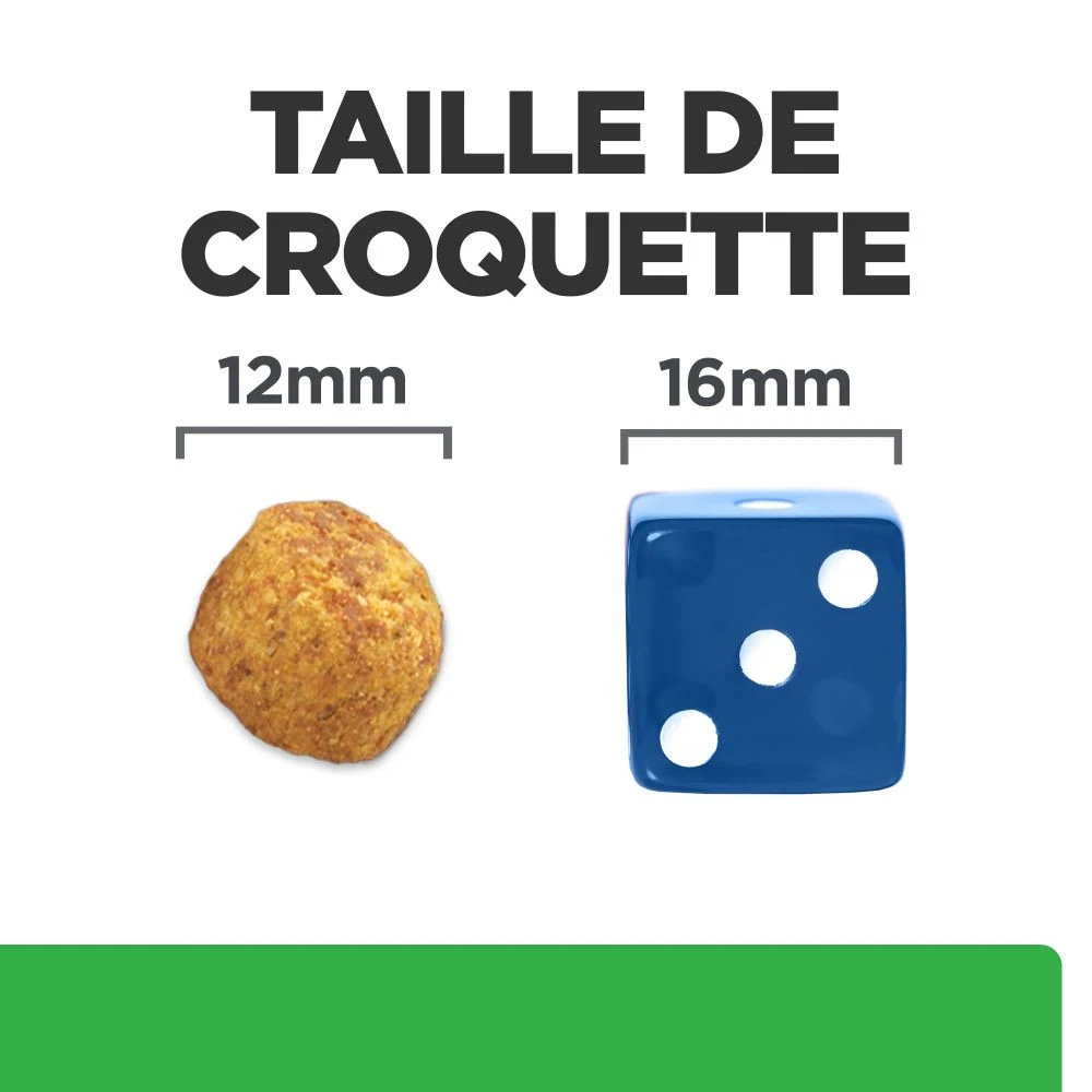 Hill's Prescription Diet R/D Croquettes Pour Chien Au Poulet 6 Hill's Prescription Diet R/D Croquettes Pour Chien Au Poulet – Image 6