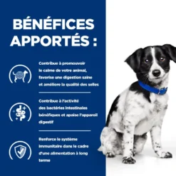 Hill's Prescription Diet I/D Stress Digestive Mini Pour Petit Chien Au Poulet 14 Hill's Prescription Diet I/D Stress Digestive Mini Pour Petit Chien Au Poulet -Éco Pattes 52742048123 4 prescription diet chien i d stress mini croquettes