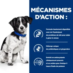 Hill's Prescription Diet I/D Stress Digestive Mini Pour Petit Chien Au Poulet 15 Hill's Prescription Diet I/D Stress Digestive Mini Pour Petit Chien Au Poulet -Éco Pattes 52742048123 5 prescription diet chien i d stress mini croquettes
