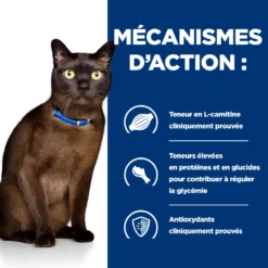 Hill's Prescription Diet M/D Croquettes Pour Chat Au Poulet -Éco Pattes 52742048208 4 prescription diet chat m d croquettes poulet