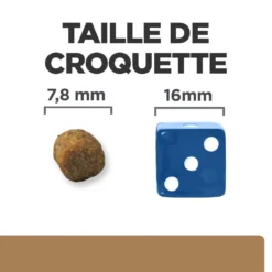 Hill's Prescription Diet J/D Croquettes Pour Chat Au Poulet -Éco Pattes 52742048352 5 prescription diet chat j d croquettes poulet