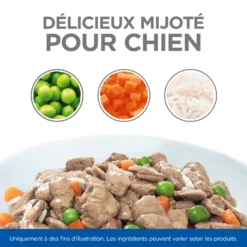 Hill's Science Plan Healthy Cuisine Mijoté Pour Chien Adulte Au Poulet Et Boeuf -Éco Pattes 52742050393 8 FR science plan chien adult healthy cuisine mijotes sachet repas poulet boeuf 12x90g