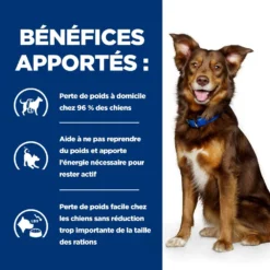 Hill's Prescription Diet Metabolic Pour Chien 11 Hill's Prescription Diet Metabolic Pour Chien -Éco Pattes 52742209906 4 prescription diet chien metabolic croquettes poulet