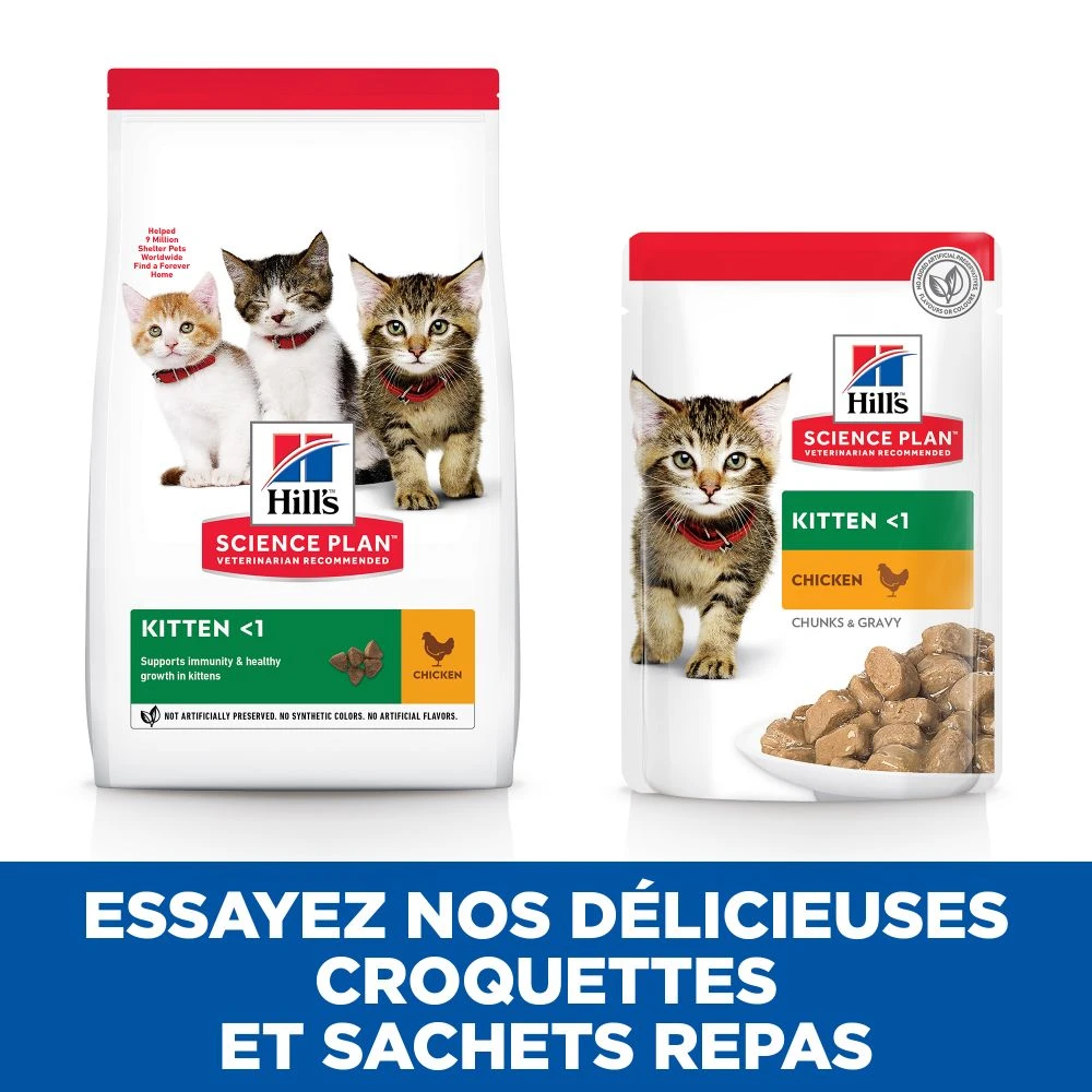 Hill's Science Plan Kitten Multipack 12 Sachets Repas Pour Chaton Poulet Et Poisson 8 Hill's Science Plan Kitten Multipack 12 Sachets Repas Pour Chaton Poulet Et Poisson – Image 8